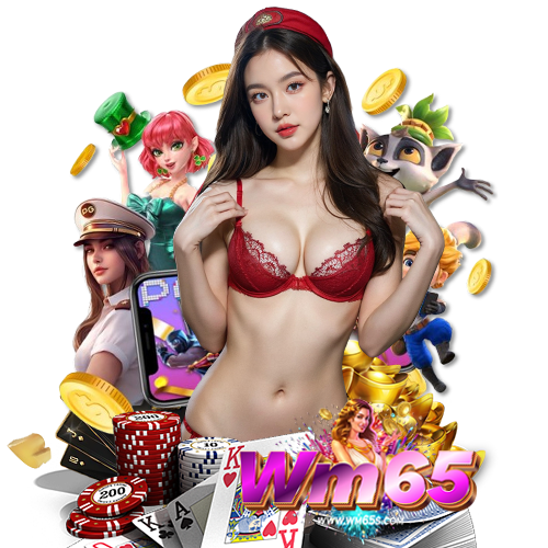 wm65 งบน้อยก็เล่นได้